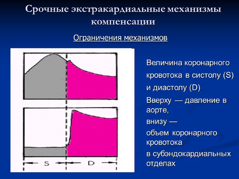 Срочные экстракардиальные механизмы компенсации  Величина коронарного кровотока в систолу (S) и диастолу (D)